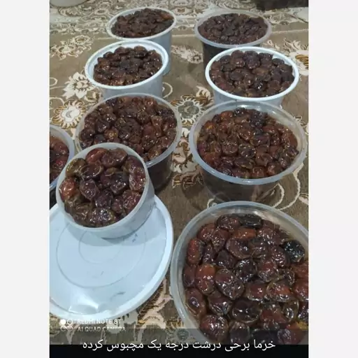 خرمای برحی آبادان (5کیلوبه بالا قابل ارسال)