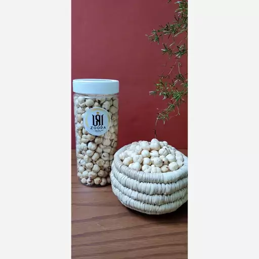 مغز فندق سفید (بدون پوست) اشکورات (500گرم) زوپا