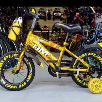 دوچرخه سایز16 BMX کرایه در مقصد