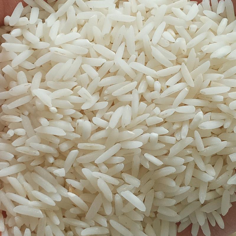 برنج طارم هاشمی عطری مازندران 10 کیلویی مستقیم از کشاورز با ارسال رایگان