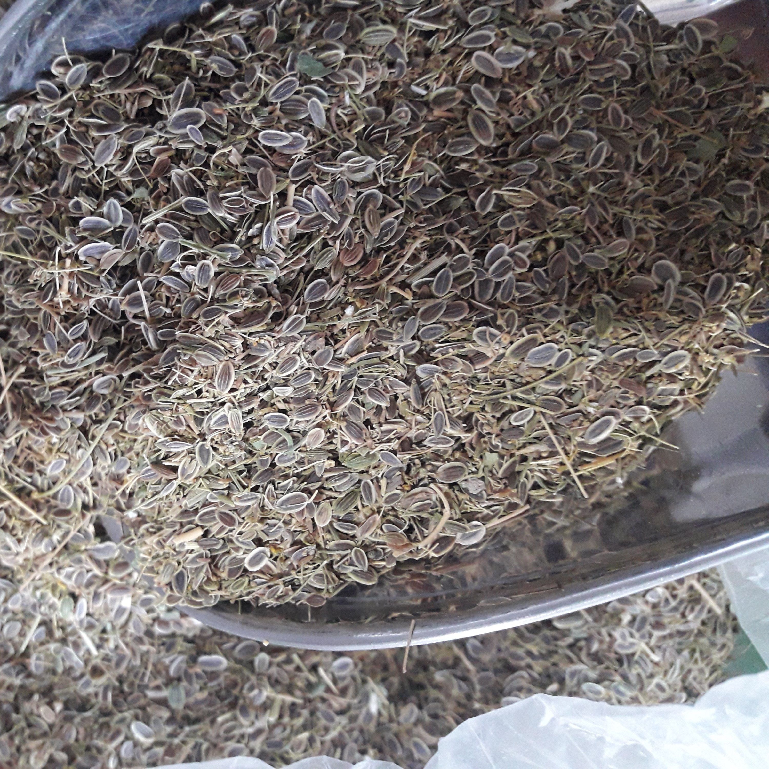 تخم شوید(150گرمی)