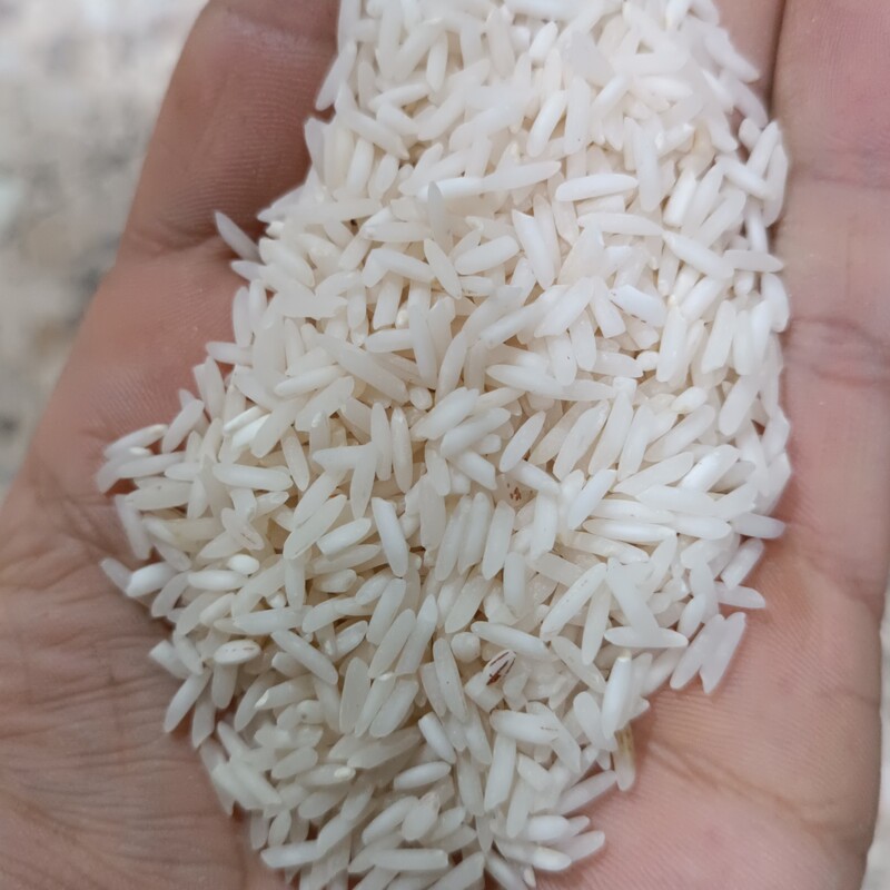 برنج شیرودی اعلا ممتاز بسته پنج کیلویی 