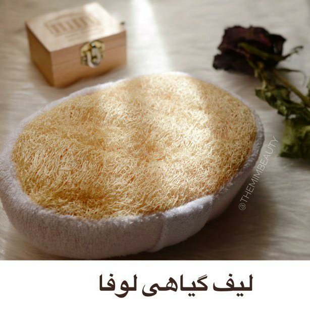 لیف گیاهی لوفا بدن مدل اسفنجی