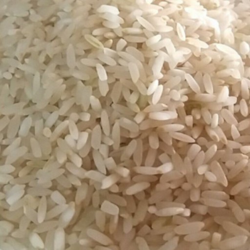 برنج محلی فیروز ابادی اعلا و درجه ی یک(1000)گرمی