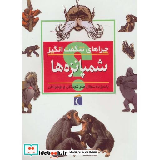 توضیحات تصویر