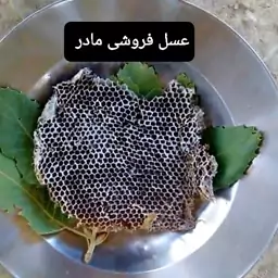 عسل باموم طبیعی(عسل فروشی مادر )