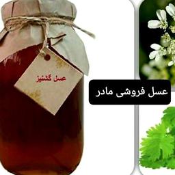 عسل طبیعی گشنیز(عسل فروشی مادر)