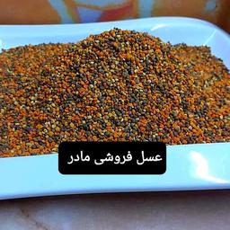 گرده گل وحشی 500گرم(عسل فروشی مادر )