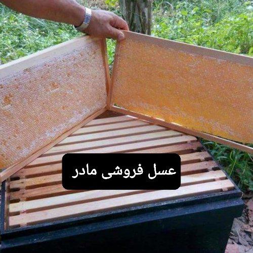 عسل طبیعی باموم(عسل فروشی مادر )