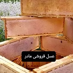 عسل طبیعی گل چای مومدار(عسل فروشی مادر )