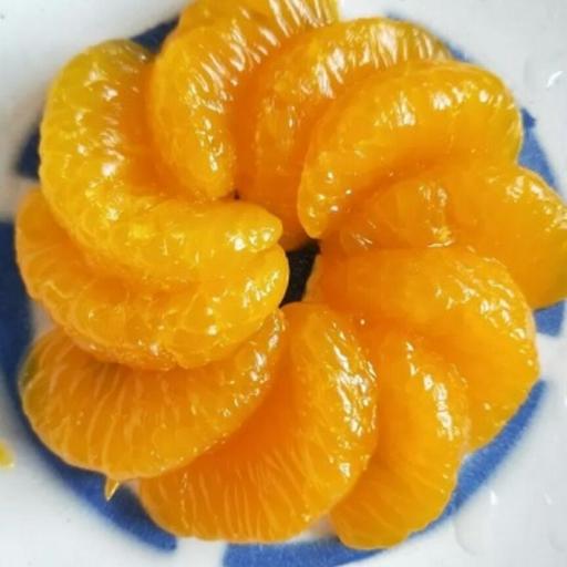 ترشی پرتقال 750 گرمی (عرضه اولیه)