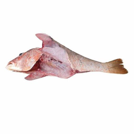 ماهی سرخو