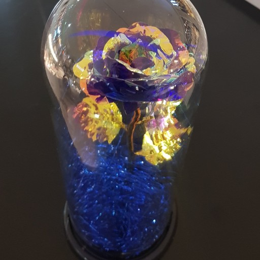 گل رز هفت رنگ گلکسی با حباب شیشه ای ارتفاع 30سانتی متر فقط رنگ آبی موجود است