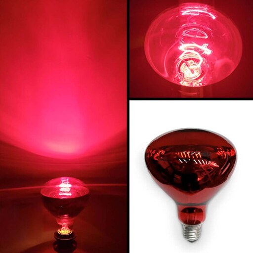لامپ مادون قرمز 250 وات نور با ارسال رایگان (بسته 9 عددی)