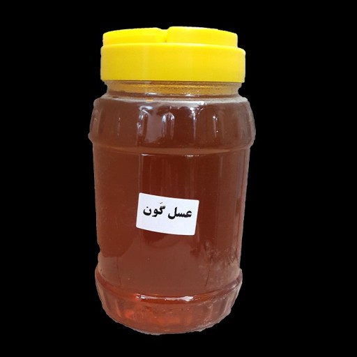 عسل گون طبیعی (1کیلوگرم)