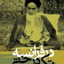 کتاب در فرانسه تک درختی هست - تاملی در جهان انقلاب اسلامی