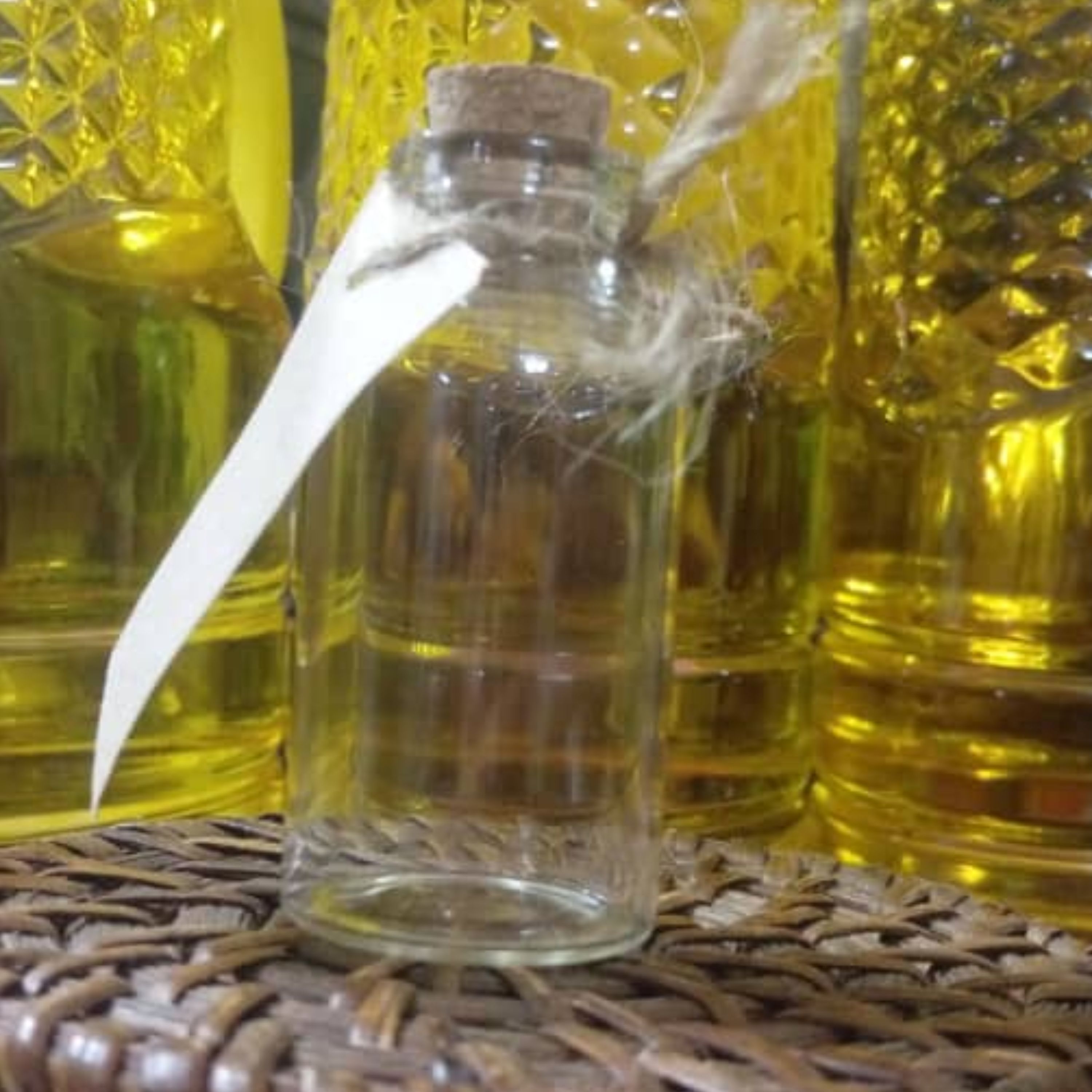 توضیحات تصویر