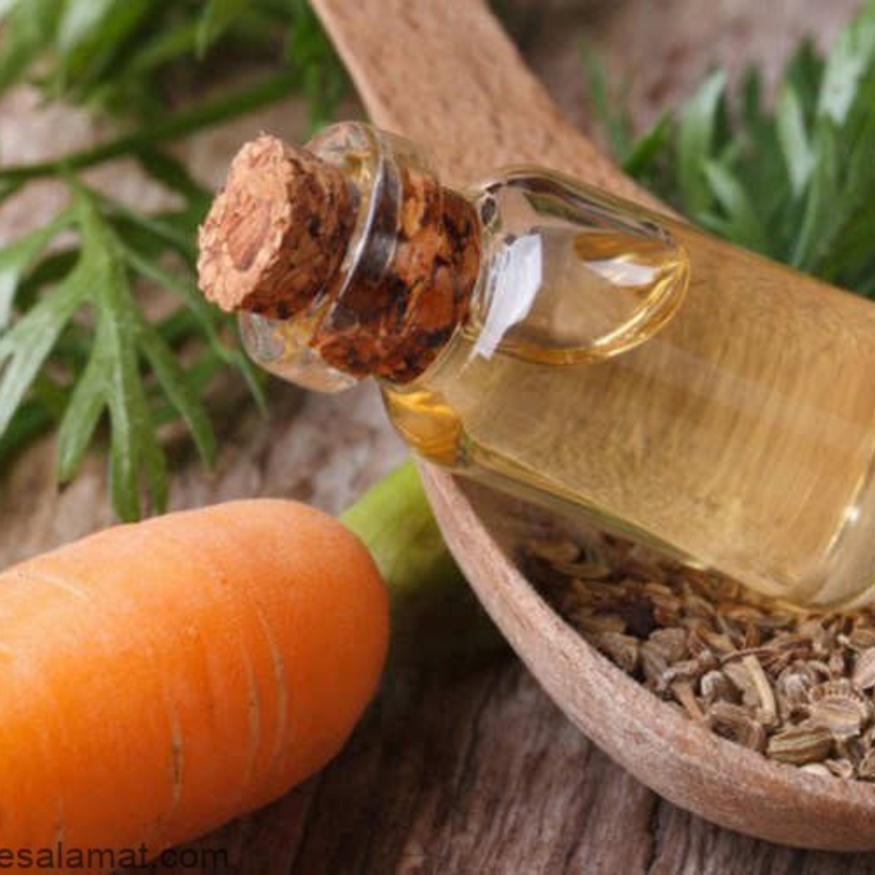 روغن هویج اصل 50 سی.سی