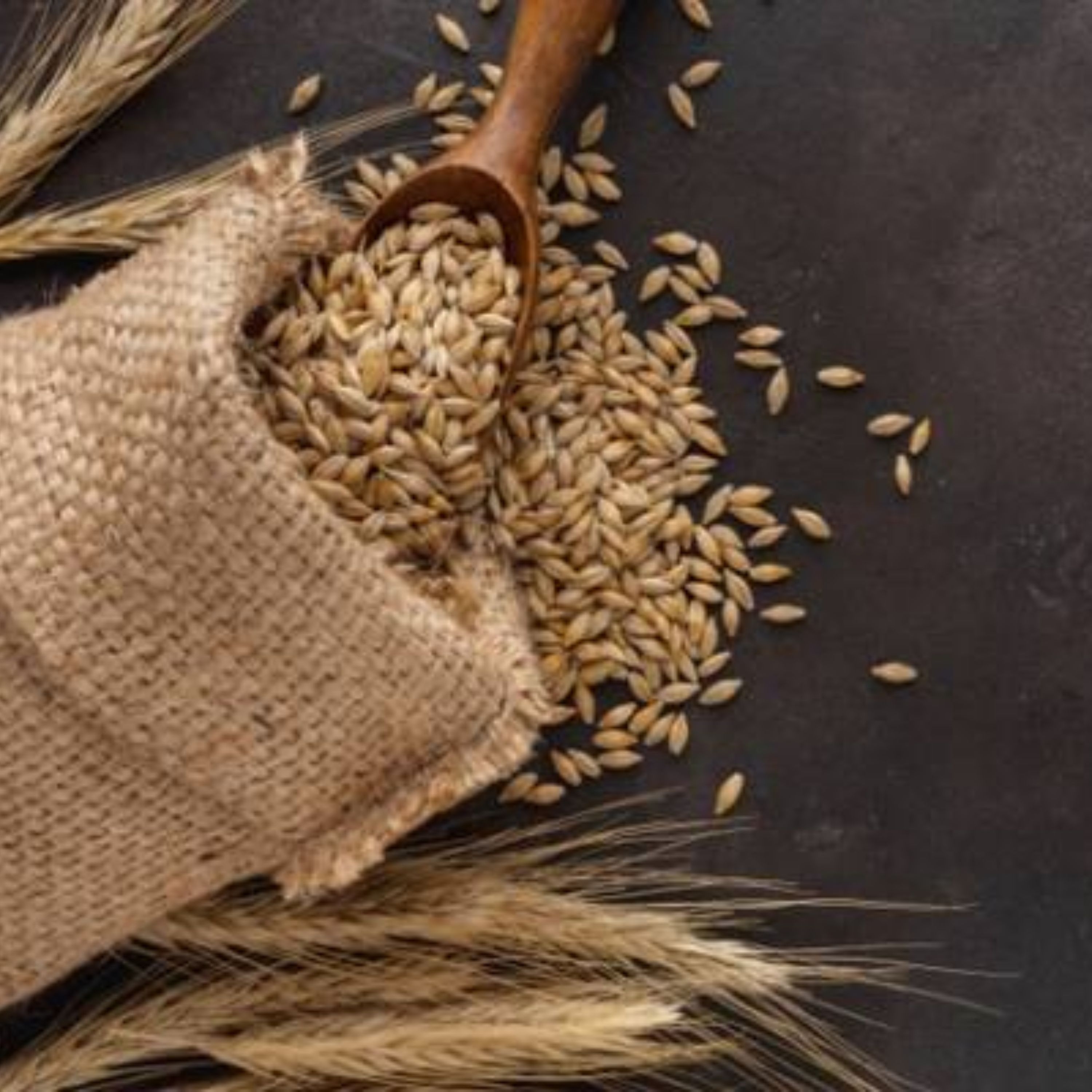 روغن جوانه گندم اصل 30 سی سی