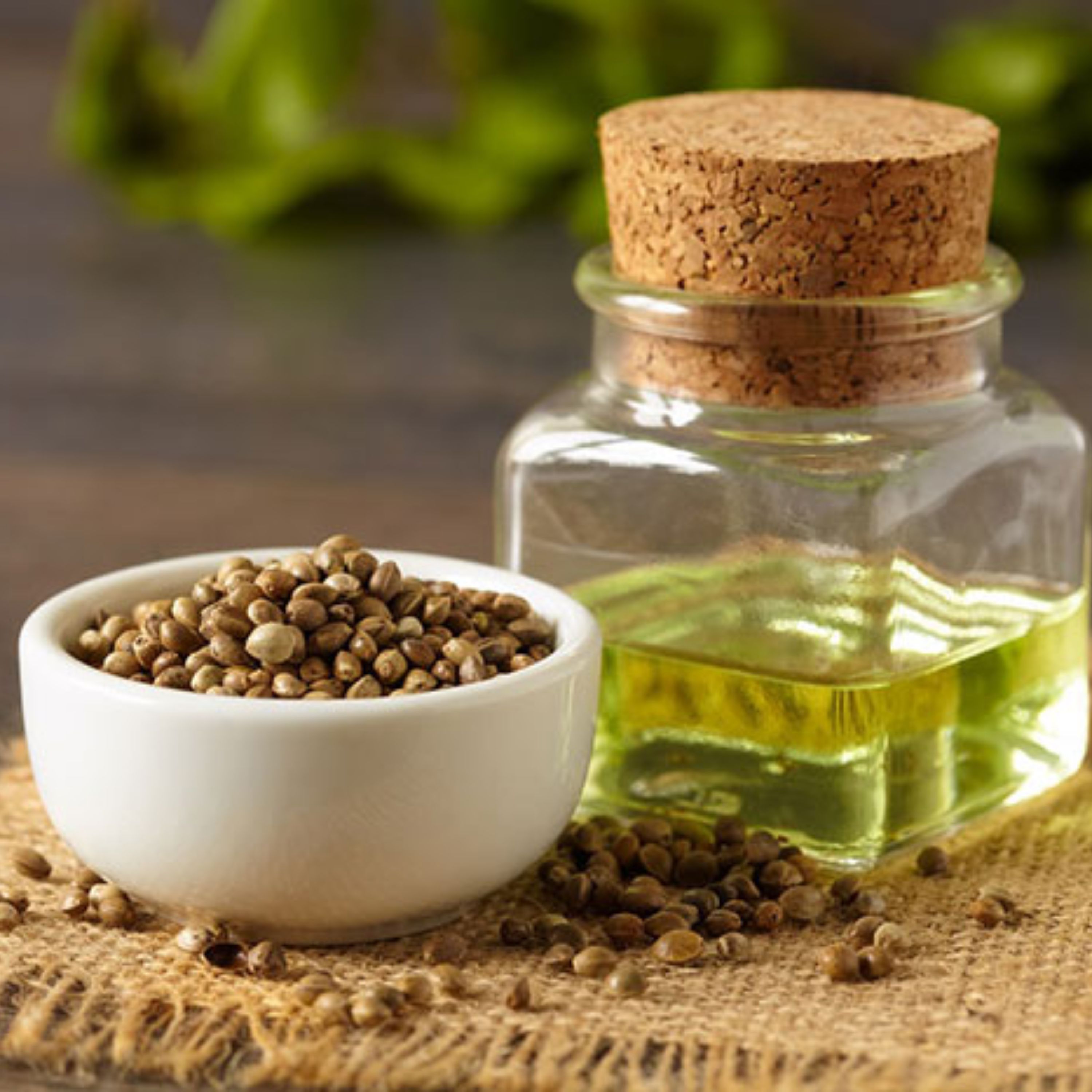 روغن شاهدانه اصل 50 سی.سی