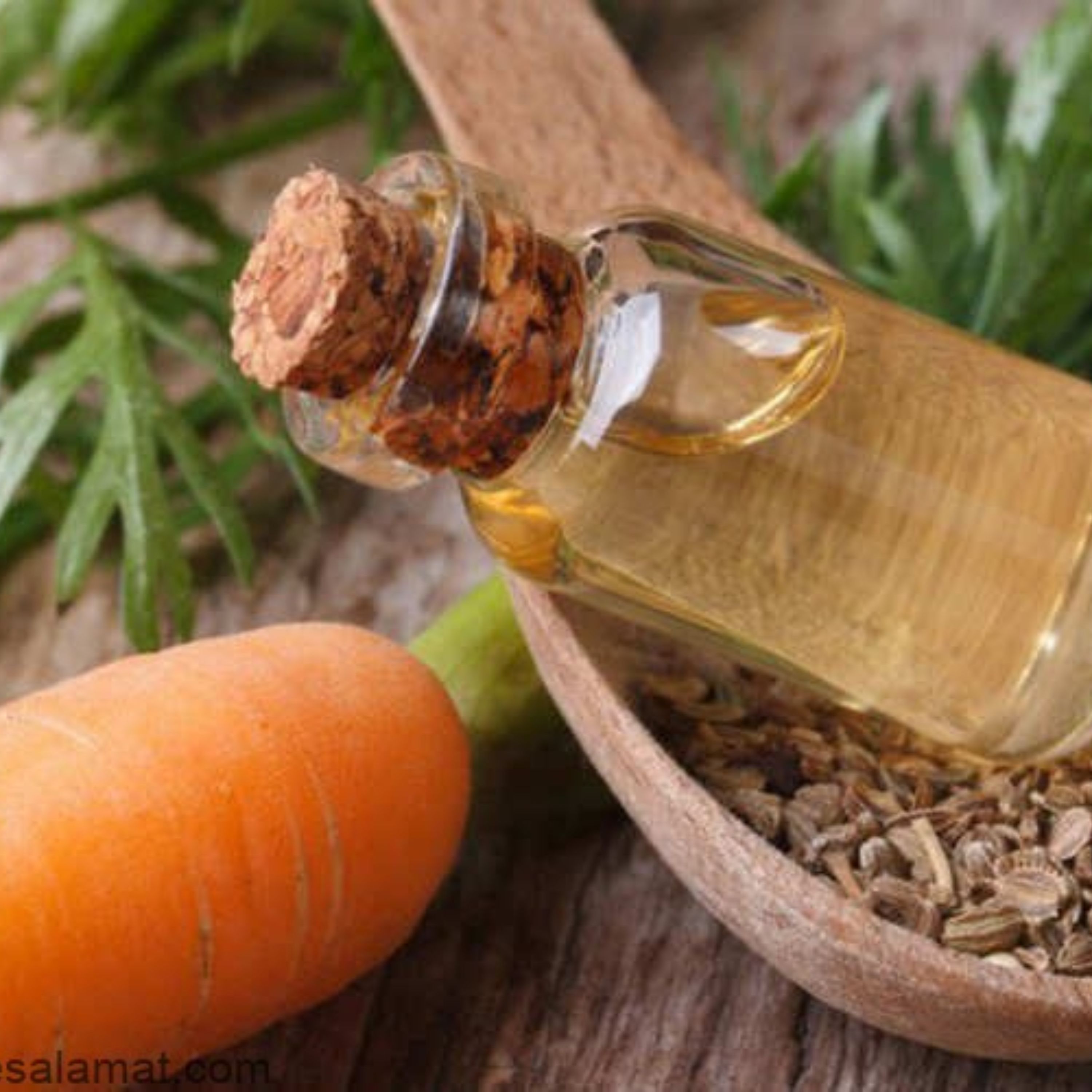 روغن هویج اصل 50 سی.سی