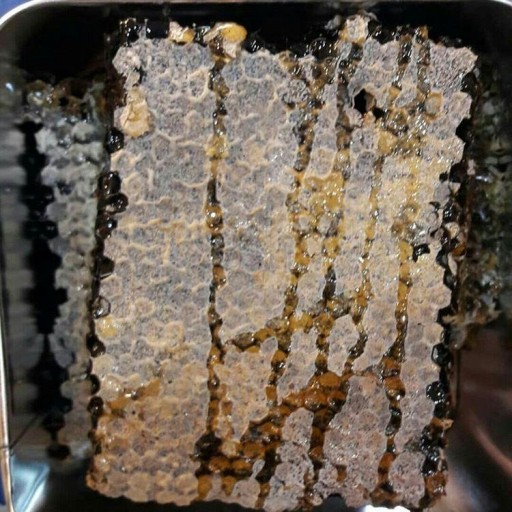 عسل چند گیاه 2کیلویی در قالب فلزی