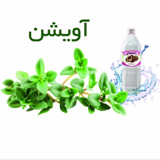 عرق آویشن درجه یک طعام البرکت کد231