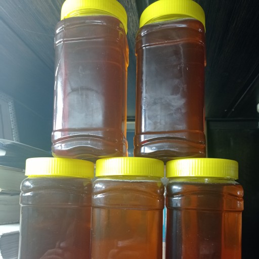 عسل انگبین و گیاهی گون (1000 گرم)
