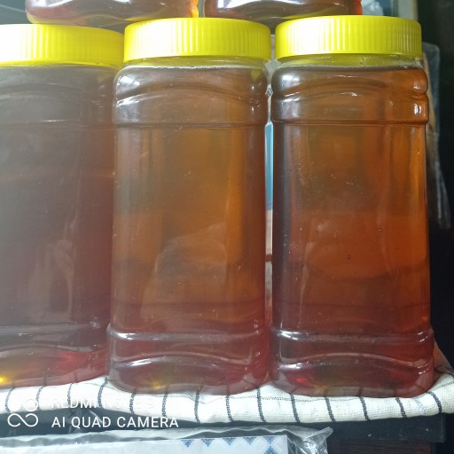 عسل انگبین و گیاهی گون (1000 گرم)
