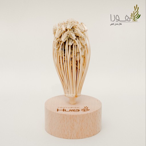 خلال ‌دندان گیاهی هورا پایه چوبی،  Hura Toothpick