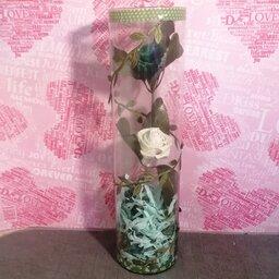 پک کادویی شیشه استوانه ایی 30سانتی همراه گلهای کاغذی زیبا