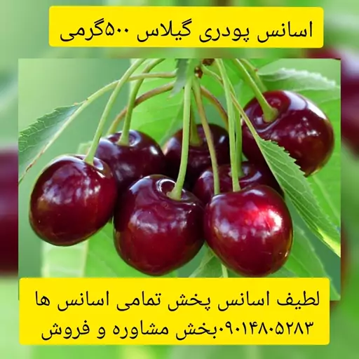 اسانس پودری گیلاس 500 گرمی طعم دهنده قوی 