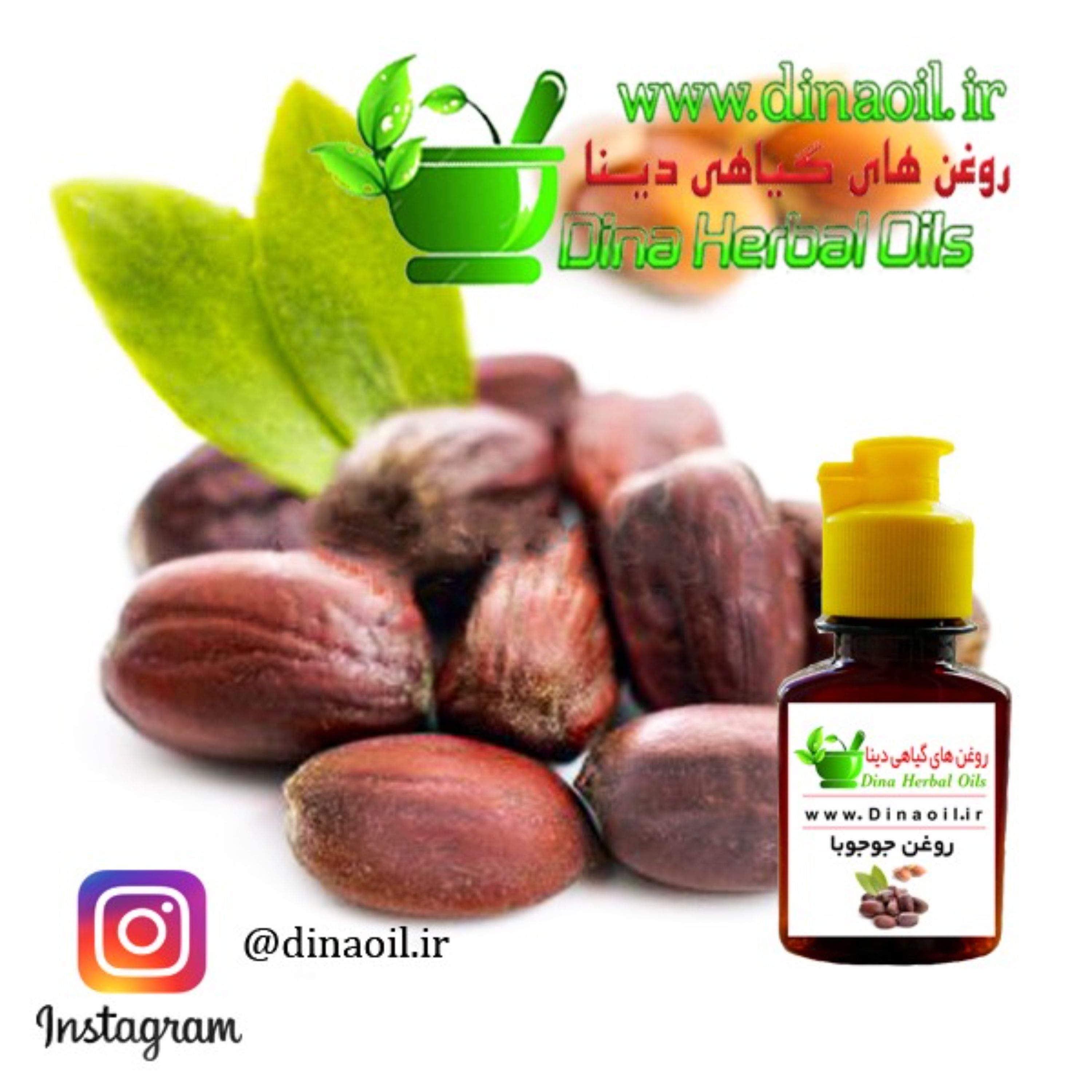 روغن جوجوبا دینا