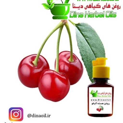 روغن هسته آلبالو دینا