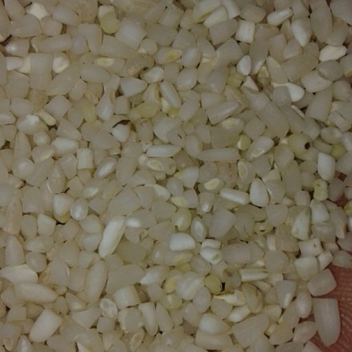 برنج  نیم دانه عنبر بو نشایی شوشتر