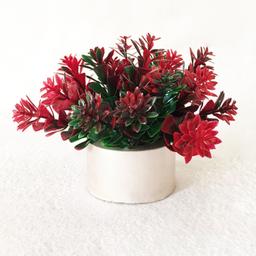 گلدان میخک رنگ گل قرمز بسته 2 عددی ابعاد 10 در 10 سانتی متر