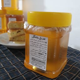 عسل جنگل طبیعی نیم کیلویی مستقیم از زنبوردار (درختان خرمالو و کرات و فرا و نمدار) (عطر و طعمش زیاده )