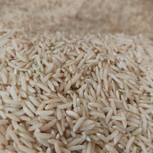 برنج قهوه ای سبوس دار  هاشمی آستانه اشرفیه محصول 1402
