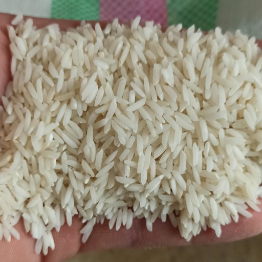 برنج صدری موسی طارم عطری (3.5کیلویی)ارسال رایگان
