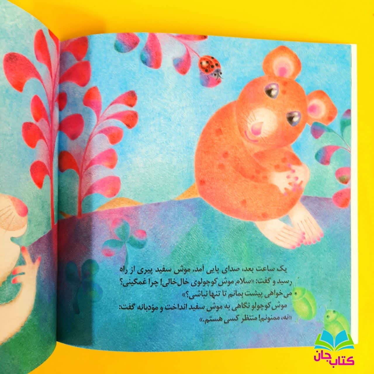 کتاب دعای موش کوچولو به قلم خان کلرژوبرت