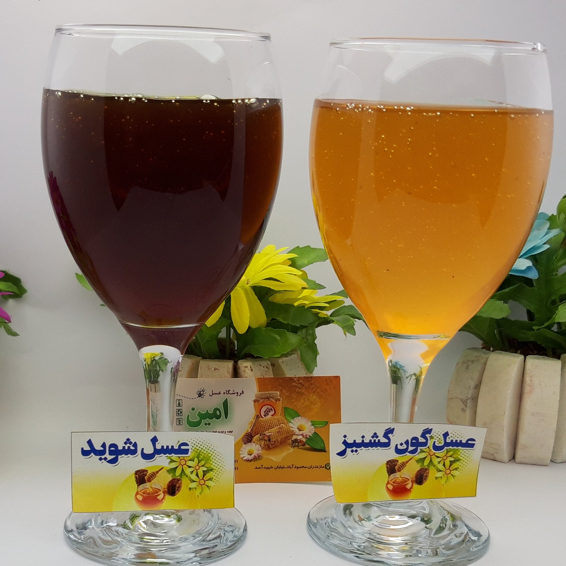 توضیحات تصویر