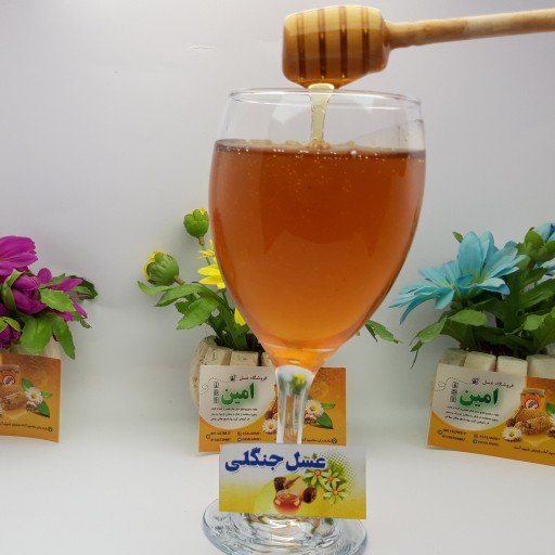 عسل طبیعی شوید عسل طبیعی کنار و عسل جنگلی(پک 900گرمی)