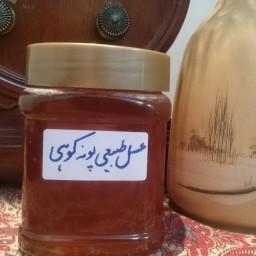 عسل طبیعی پونه کوهی، خام، نیم کیلویی