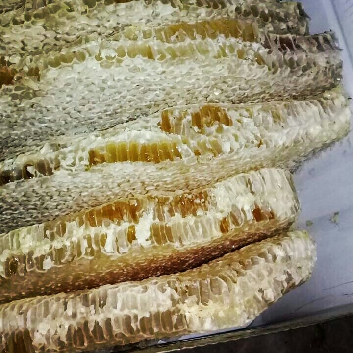 عسل سبدی (خودبافت وبدون موم)