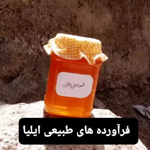 شهد عسل درختی( فراورده های طبیعی ایلیا )