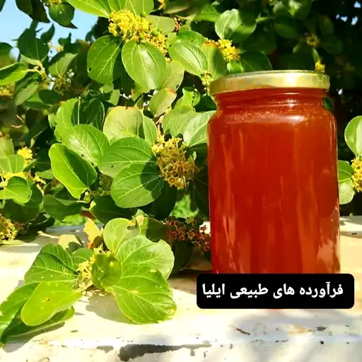 عسل طبیعی گل پنبه(فراورده های طبیعی ایلیا)