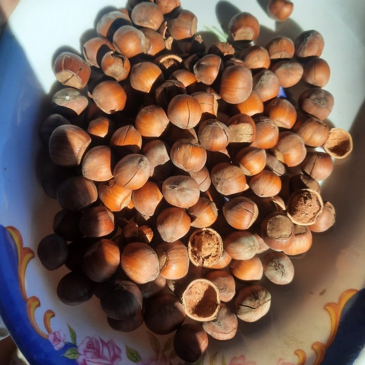 فندق خام شکسته(خندان) دو کیلوگرم فیدنو