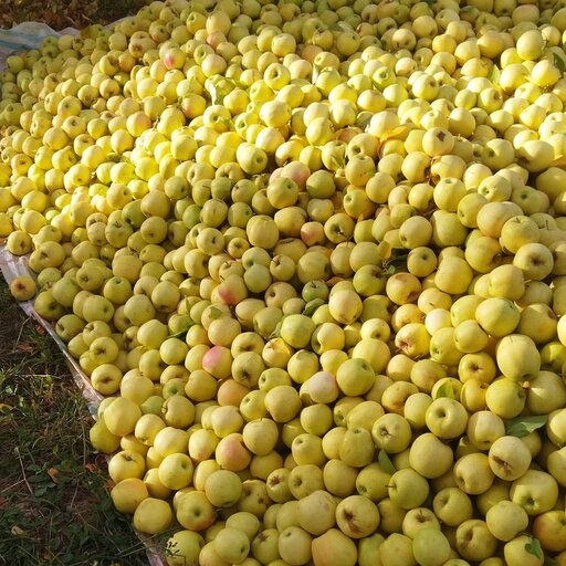 چیپس سیب  درجه یک ارومیه   (1 کیلو)