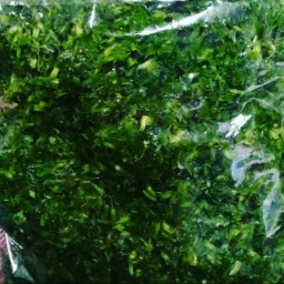 سبزی کوکو معطر با سبزی های محلی شمال در وزن یک کیلویی