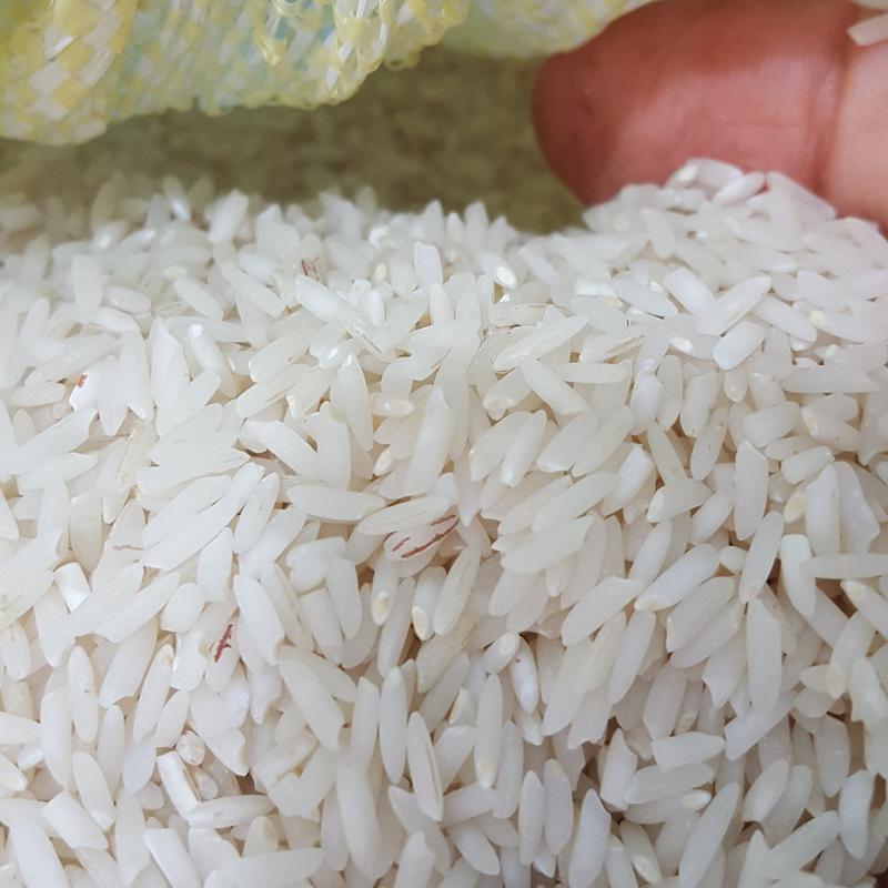 برنج طارم محلی خرم آباد ارسال رایگان